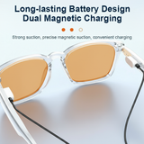 A10 AI Smart Glasses